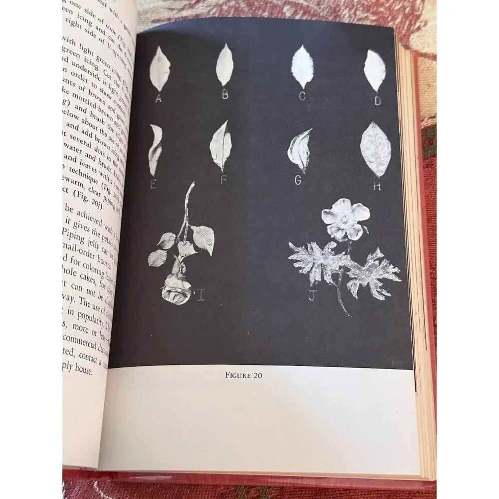 65 Buttercream Flowers‎ Illustrated Snyder, Richard 1st Edition No DJ 1957